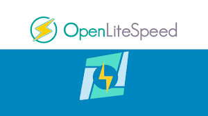 安装OpenLiteSpeed后无法通过7080端口访问WebAdmin Console后台的解决办法插图 OpenLiteSpeed