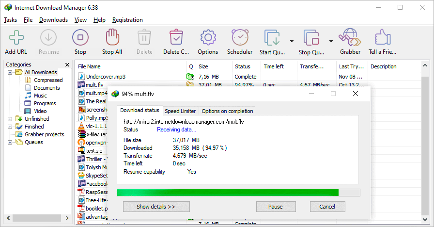 Internet Download Manager v6.42.41中文特别版(IDM)