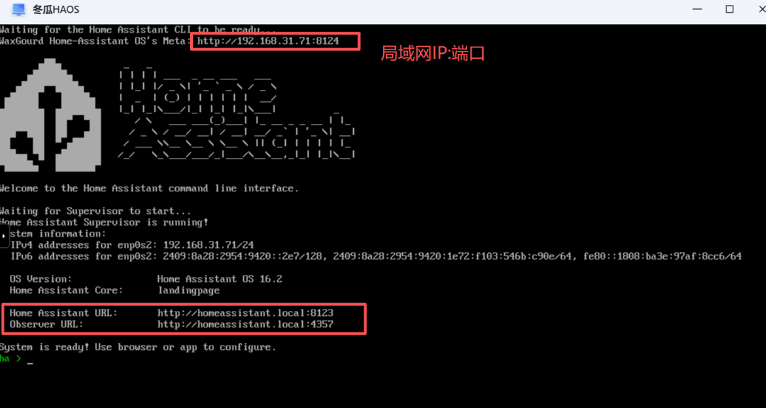 飞牛部署冬瓜HAOS:预装集成真香版,更懂国人的 Home Assistant