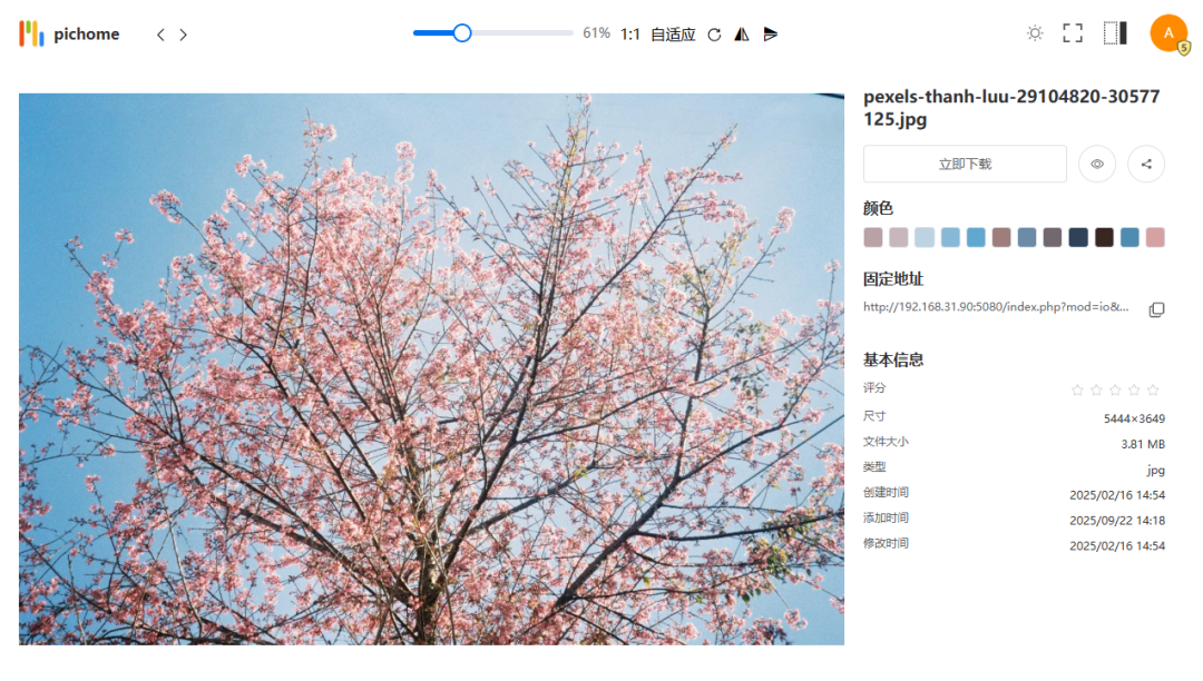 零门槛！NAS 本地部署 PicHome，3 步打造专业级图片展示平台