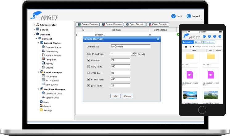 FTP服务器 Wing FTP Server v7.4.3 破解版